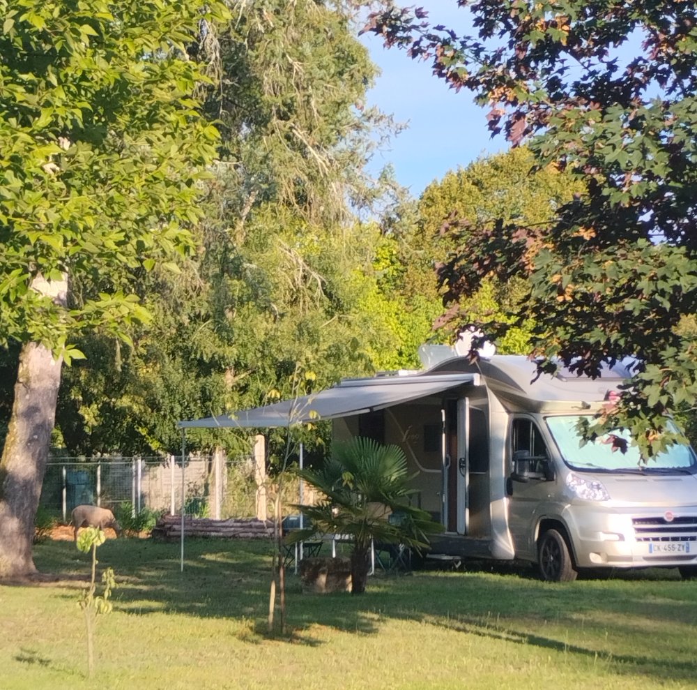 Aire camping-car  Saint-Pierre-du-Palais (17270) - Photo 6